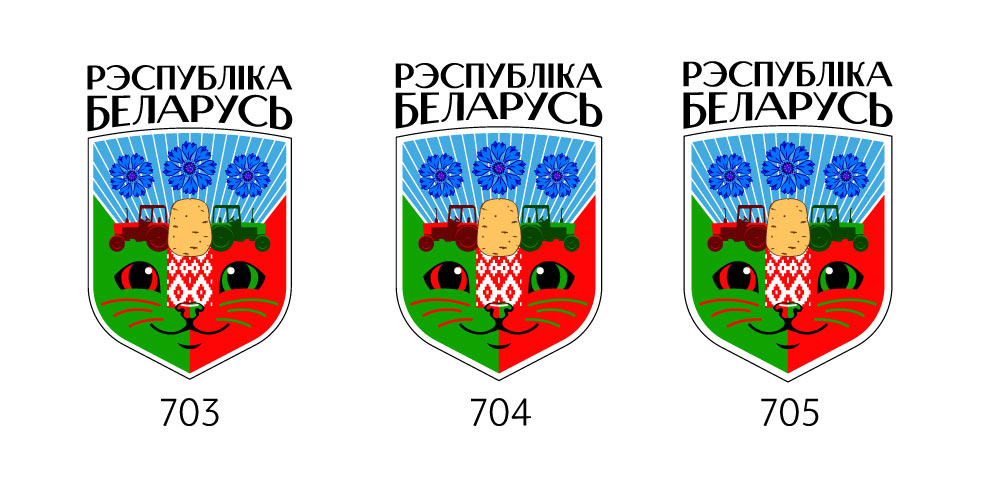 belarus process 43