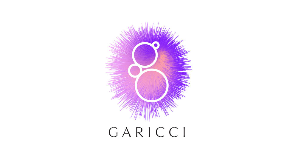 garicci process 01