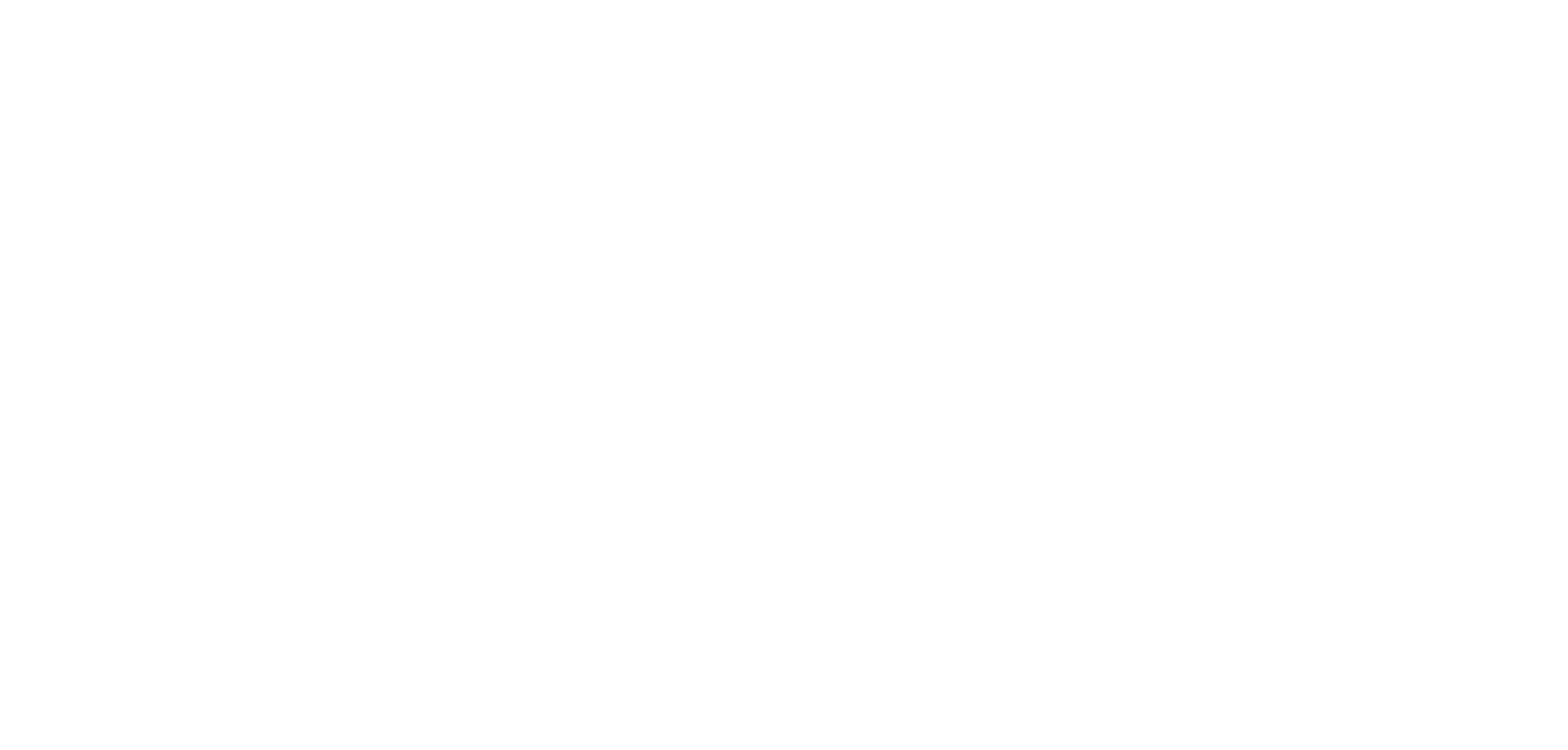 saorazvitie logo white