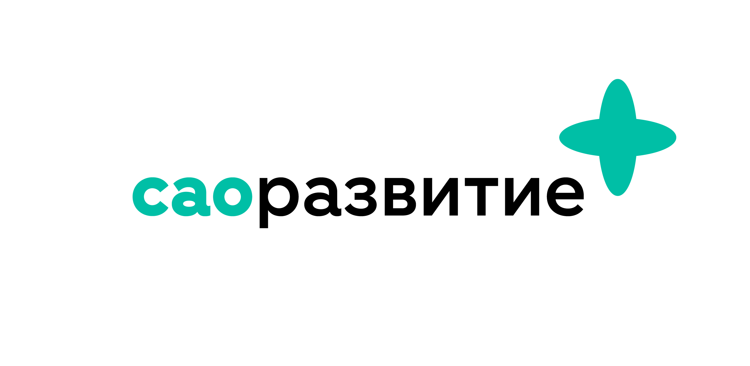 saorazvitie logo