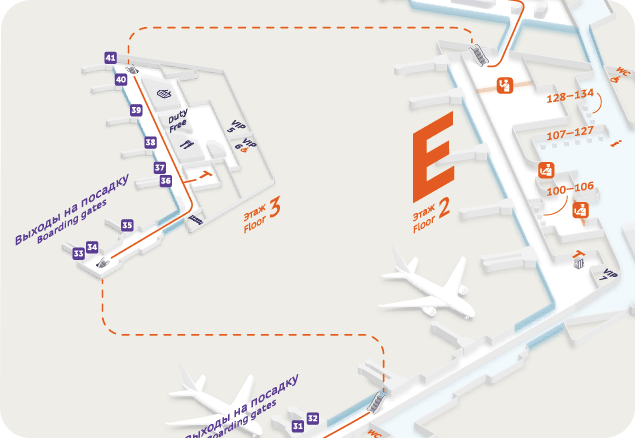 Sheremetyevo Airport maps